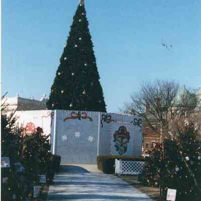 Taunton - Taunton Green - Christmas Display - 2000
