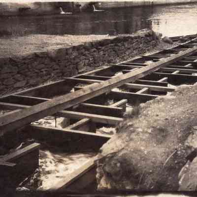 Taunton River - Herring (4)