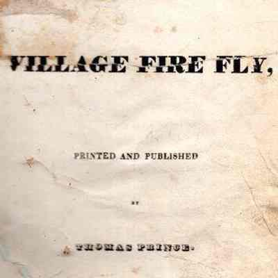 The Village Fire Fly