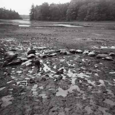 Snake River - 1997