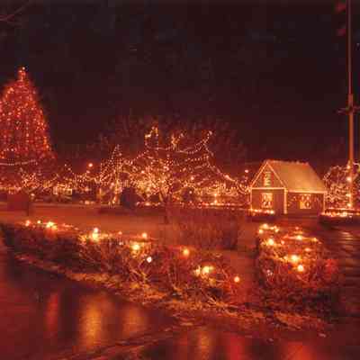 Taunton - Taunton Green - Christmas Display - 1984