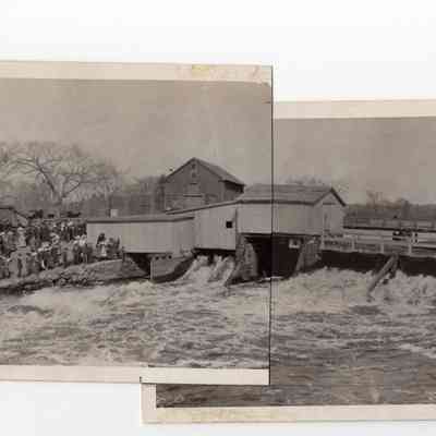 Taunton River Herring - 1910