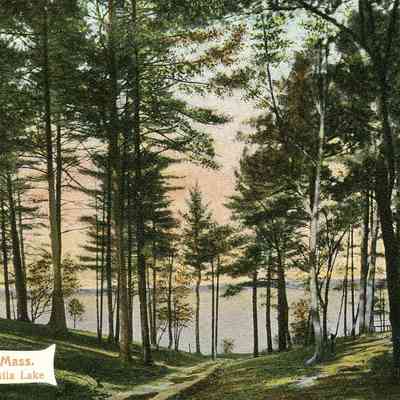 Grove at Sabatia Lake, Taunton, MA
