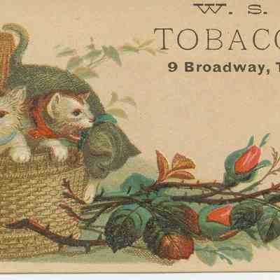 W.S. Jones Tabacconist, Taunton, MA