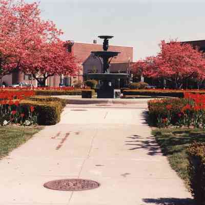 Taunton - Taunton Green - May 9 1993
