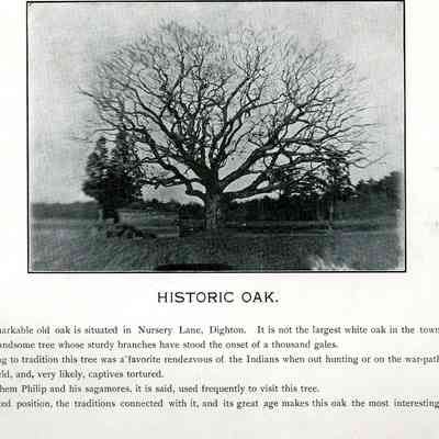 Dighton - Council Oak - 1987