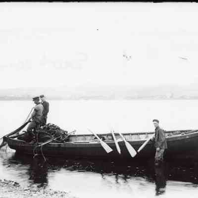 Taunton River Herring - Somerset Street