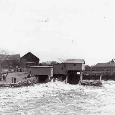 Taunton River Herring - 1903