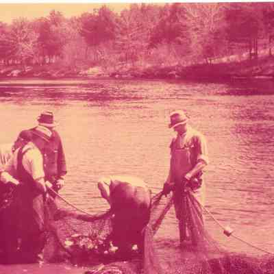 Taunton River - Herring - Near Taunton Waterworks - April 29, 1941