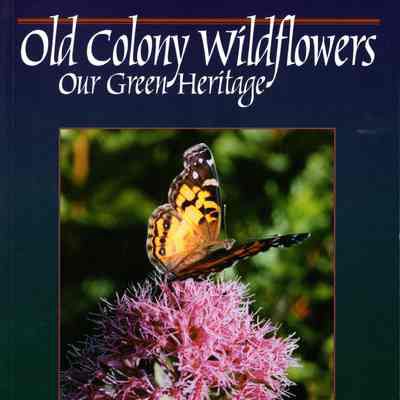 Old Colony Wildflowers, Our green heritage