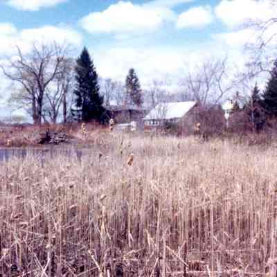 Berkley - Crane House