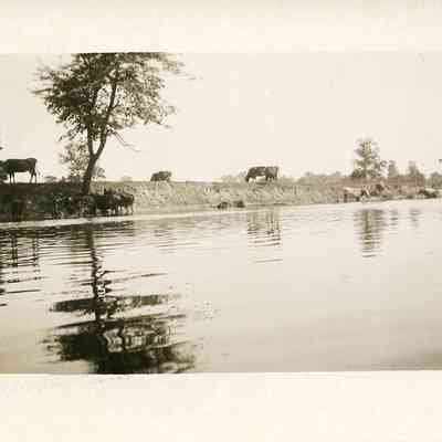 Taunton River - General