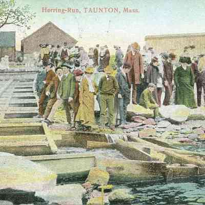 Herring Run, Taunton, MA