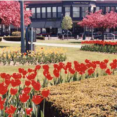 Taunton - Taunton Green - May 9 1993