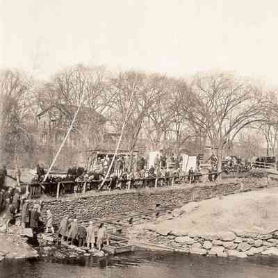 Taunton River - Herring