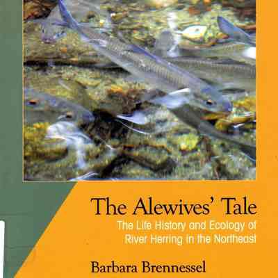 The Alewives' Tale: The life history and ecology of river herring in the Northeast