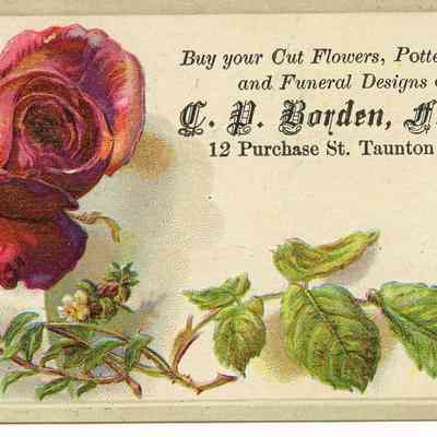 C.P. Borden Florist Taunton, MA