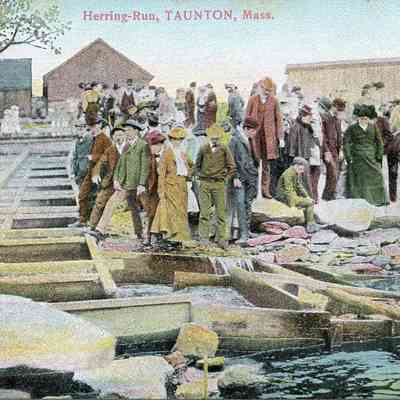 Taunton River - Herring Run