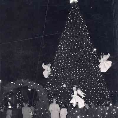Taunton - Taunton Green - Christmas Display - 1954