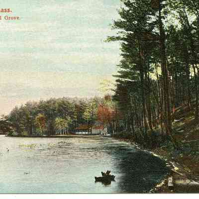 Sabatia Lake and Grove, Taunton, MA