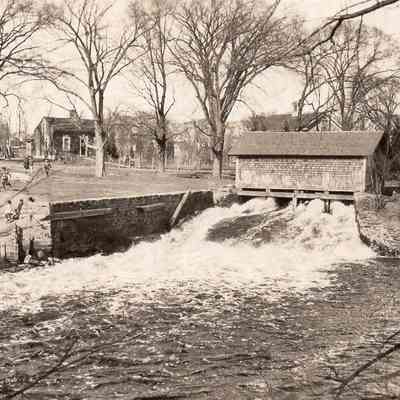 Taunton River - Herring