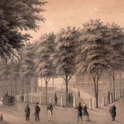 Taunton - Taunton Green - Illustrations - North West Side of Taunton Green