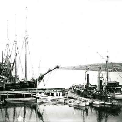 Menhaden Fish Works, 1890