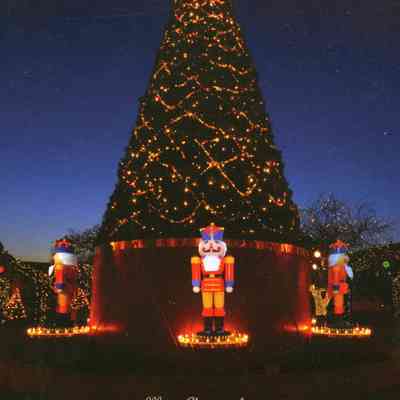 Taunton Green - Christmas - Biss Lumber 2009