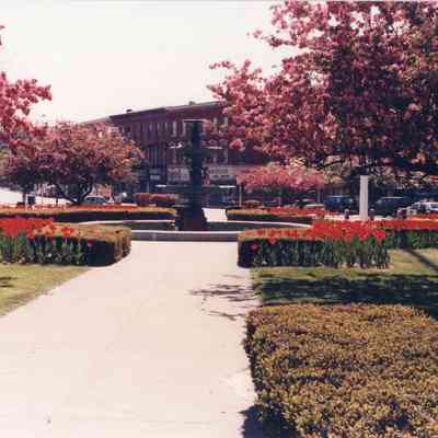 Taunton - Taunton Green - May 9 1993