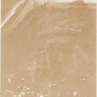 Taunton River - Herring