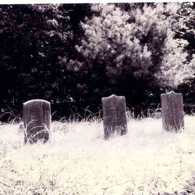 Cemeteries - Bassett Family