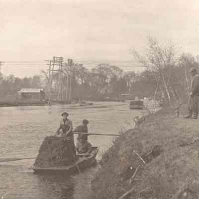 Taunton River Herring - Down Stream