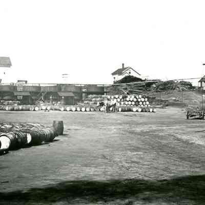 Menhaden Fish Works, 1890