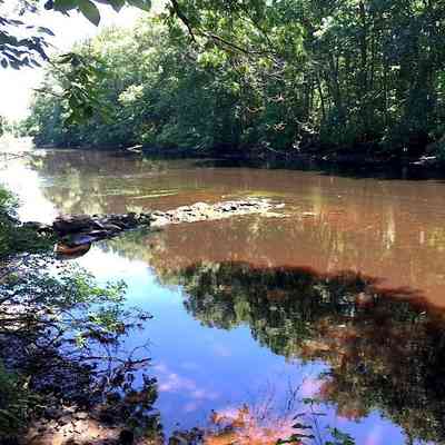 Taunton River - Ancient Ford - June 2020