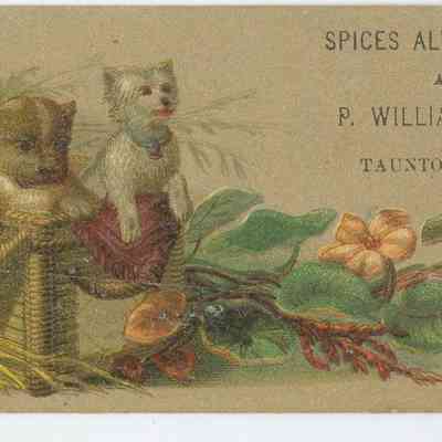 P. Williams and Co.