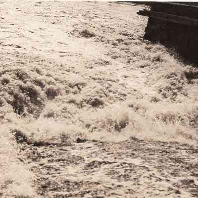 Taunton River - Herring