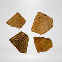 Sherd