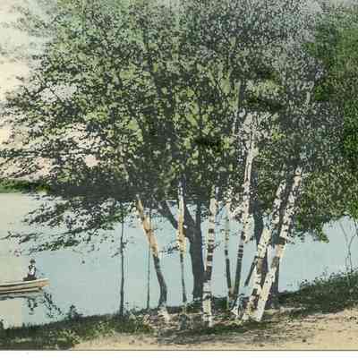 Scadding's Pond, Taunton, MA