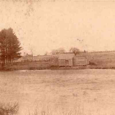 Taunton River - Herring