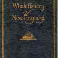 Whale fishery of New England: An account, with illustrations and some interesting and amusing anecdotes, of the rise and fall of an industry which has made New England famous throughout the World.