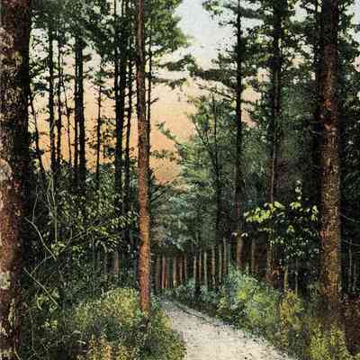 Castle Rock Road