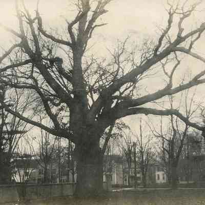 Taunton - Somerset Avenue