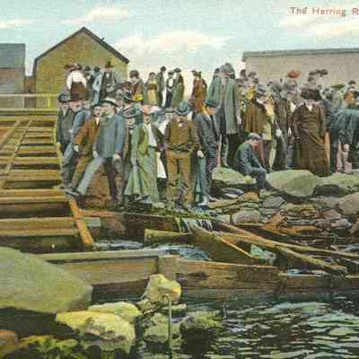 The Herring Run, Taunton, MA