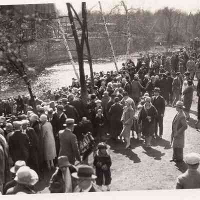 Taunton River - Herring - Edward Westcoat (3)