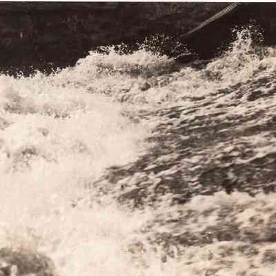 Taunton River - Herring (9)