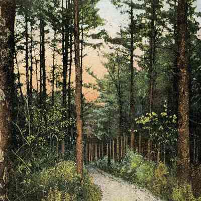 Castle Rock Road