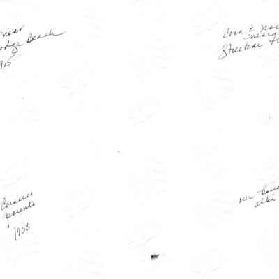 Back of photographs