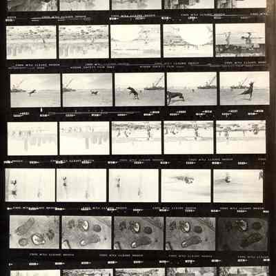 contact sheet