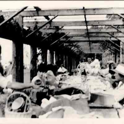 "Alki Beach Trellis + Picnic Table 1915"