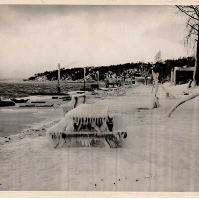Alki, ice and spray frozen along Alki bulkhead.